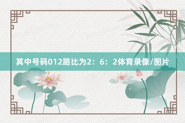 其中号码012路比为2：6：2体育录像/图片