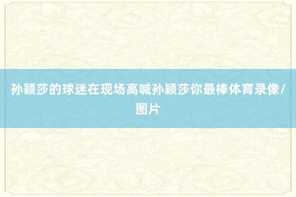 孙颖莎的球迷在现场高喊孙颖莎你最棒体育录像/图片