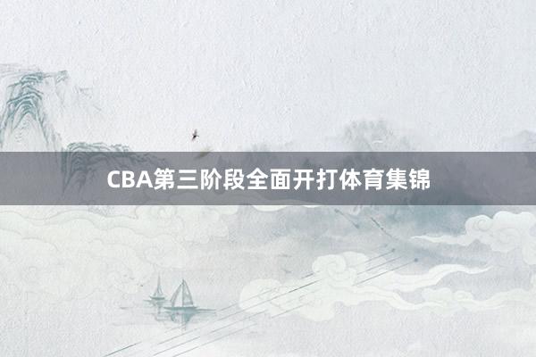 CBA第三阶段全面开打体育集锦