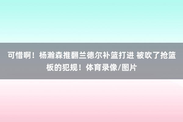 可惜啊!杨瀚森推翻兰德尔补篮打进 被吹了抢篮板的犯规!体育录像/图片