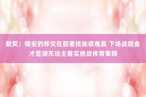 默契：锡安的移交在胶著技能很难赢 下场战掘金才是湖东谈主着实挑战体育集锦