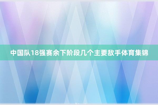 中国队18强赛余下阶段几个主要敌手体育集锦