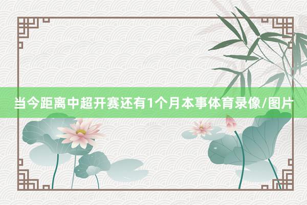 当今距离中超开赛还有1个月本事体育录像/图片