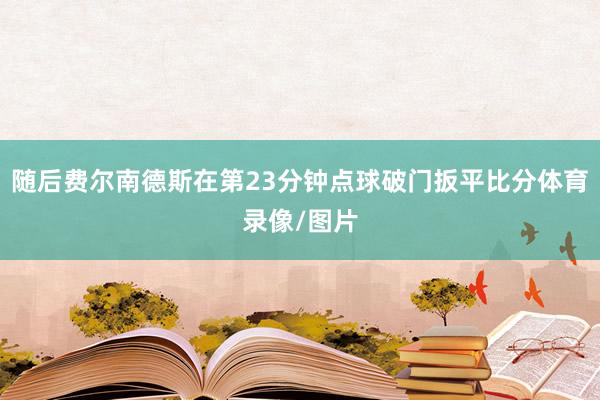 随后费尔南德斯在第23分钟点球破门扳平比分体育录像/图片