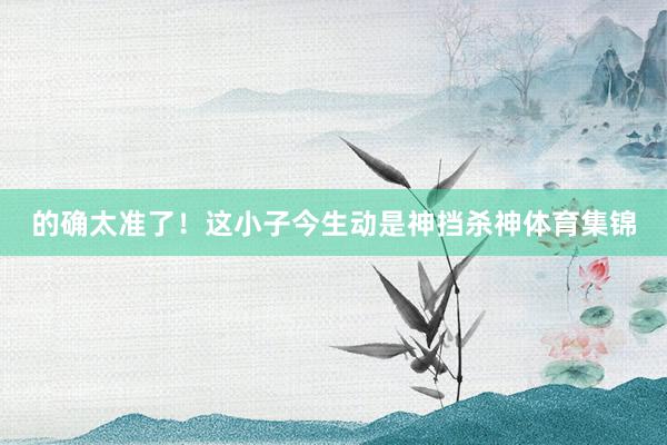 的确太准了！这小子今生动是神挡杀神体育集锦