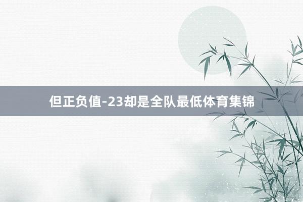 但正负值-23却是全队最低体育集锦