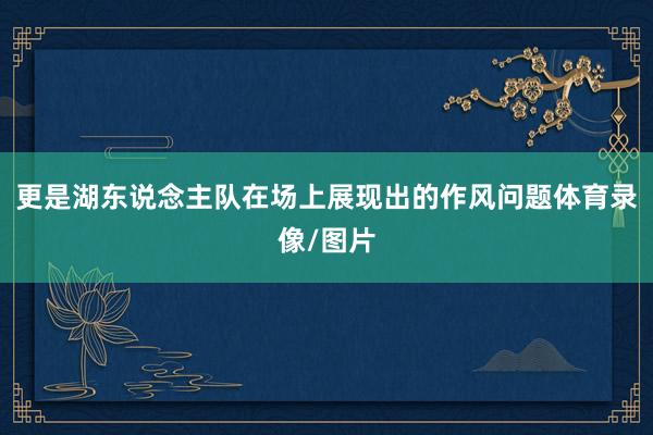 更是湖东说念主队在场上展现出的作风问题体育录像/图片