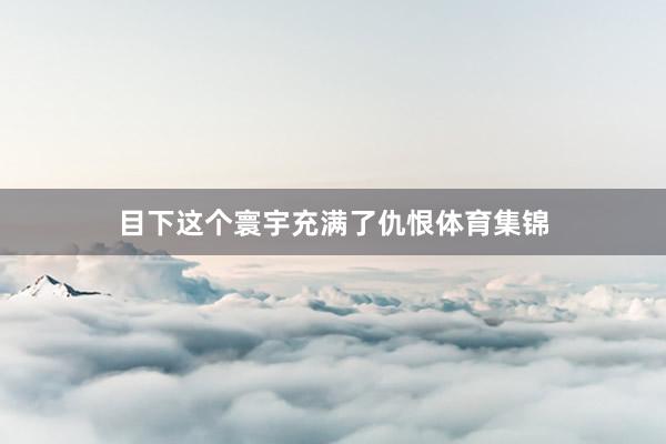 目下这个寰宇充满了仇恨体育集锦