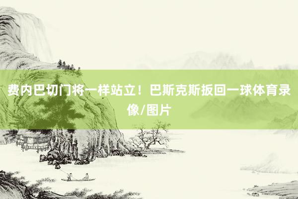 费内巴切门将一样站立！巴斯克斯扳回一球体育录像/图片