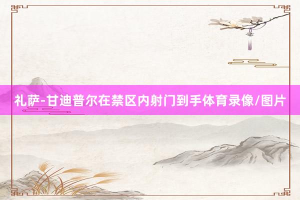 礼萨-甘迪普尔在禁区内射门到手体育录像/图片