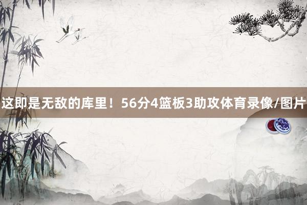 这即是无敌的库里！56分4篮板3助攻体育录像/图片
