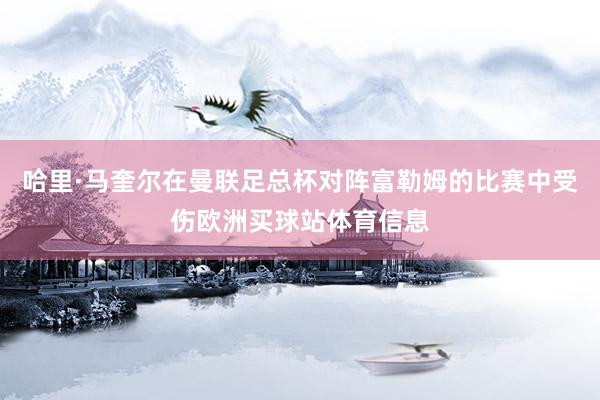 哈里·马奎尔在曼联足总杯对阵富勒姆的比赛中受伤欧洲买球站体育信息
