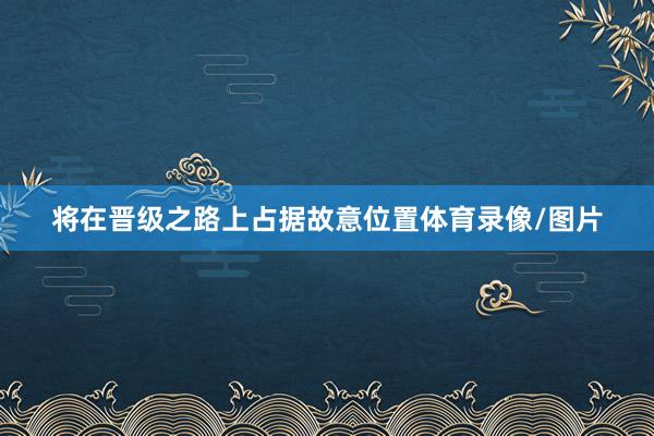 将在晋级之路上占据故意位置体育录像/图片