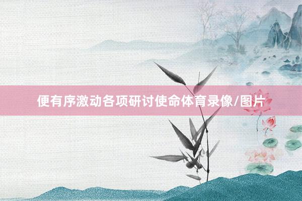 便有序激动各项研讨使命体育录像/图片