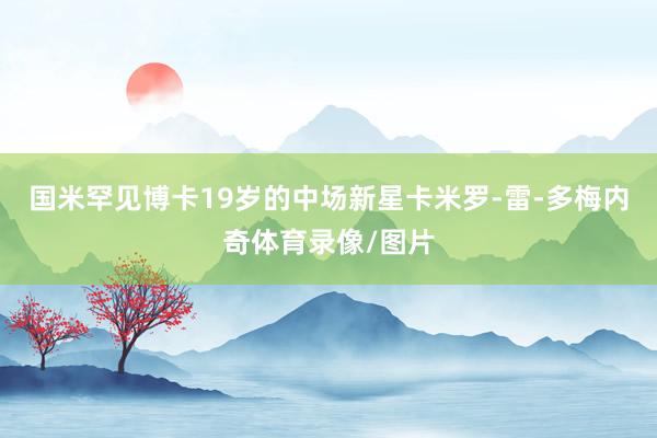 国米罕见博卡19岁的中场新星卡米罗-雷-多梅内奇体育录像/图片