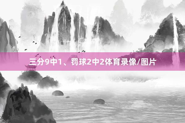 三分9中1、罚球2中2体育录像/图片