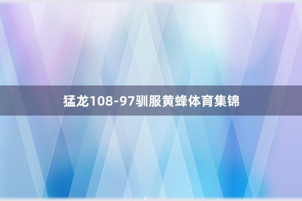 猛龙108-97驯服黄蜂体育集锦
