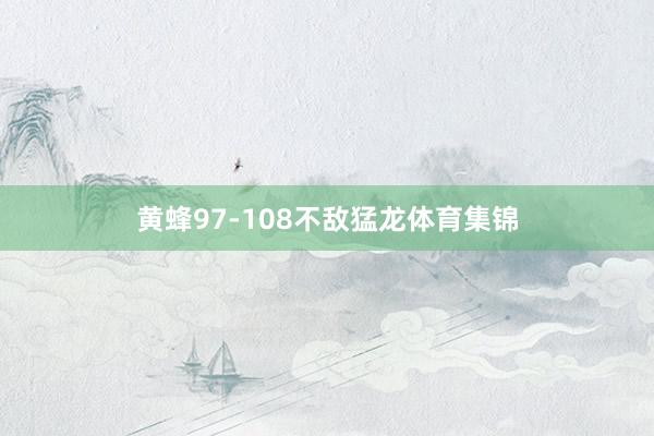 黄蜂97-108不敌猛龙体育集锦