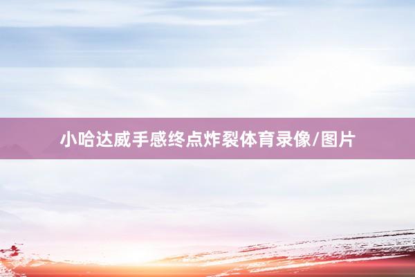 小哈达威手感终点炸裂体育录像/图片