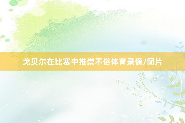 戈贝尔在比赛中推崇不俗体育录像/图片