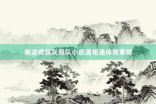 谢泼德跟灰熊队小皮蓬相通体育集锦