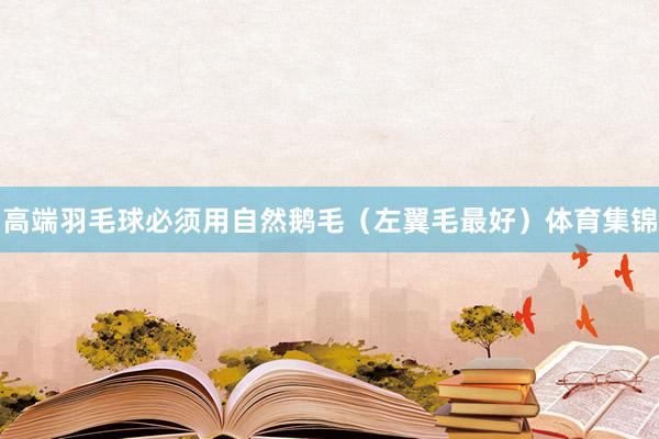 高端羽毛球必须用自然鹅毛(左翼毛最好)体育集锦