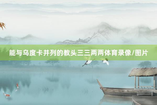 能与乌度卡并列的教头三三两两体育录像/图片
