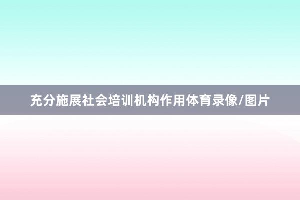 充分施展社会培训机构作用体育录像/图片