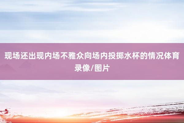 现场还出现内场不雅众向场内投掷水杯的情况体育录像/图片