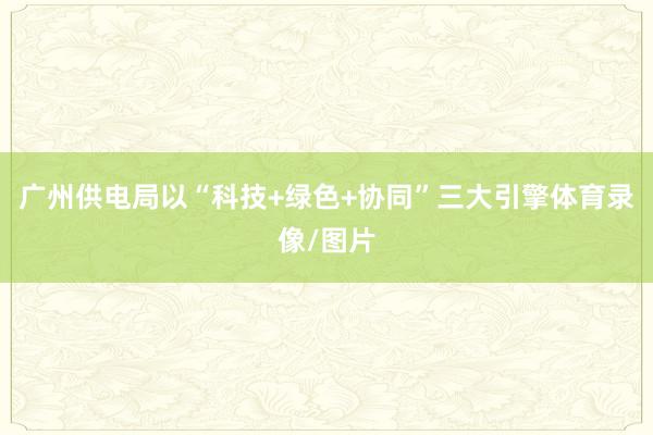 广州供电局以“科技+绿色+协同”三大引擎体育录像/图片