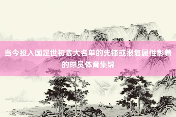 当今投入国足世初赛大名单的先锋或报复属性彰着的球员体育集锦