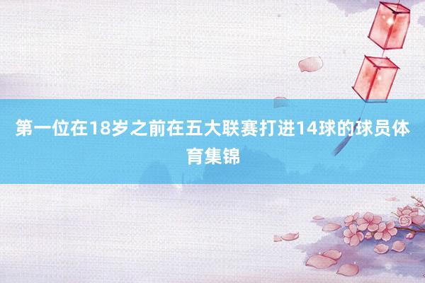 第一位在18岁之前在五大联赛打进14球的球员体育集锦