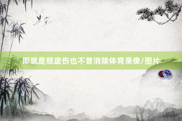 即就是颓废伤也不曾消除体育录像/图片