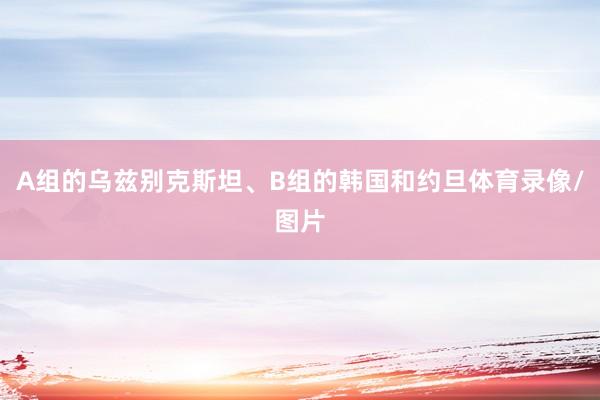 A组的乌兹别克斯坦、B组的韩国和约旦体育录像/图片