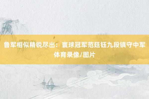 鲁军相似精锐尽出:寰球冠军范廷钰九段镇守中军体育录像/图片