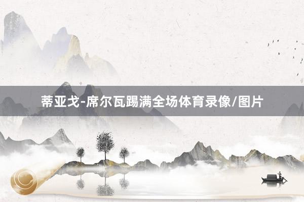 蒂亚戈-席尔瓦踢满全场体育录像/图片