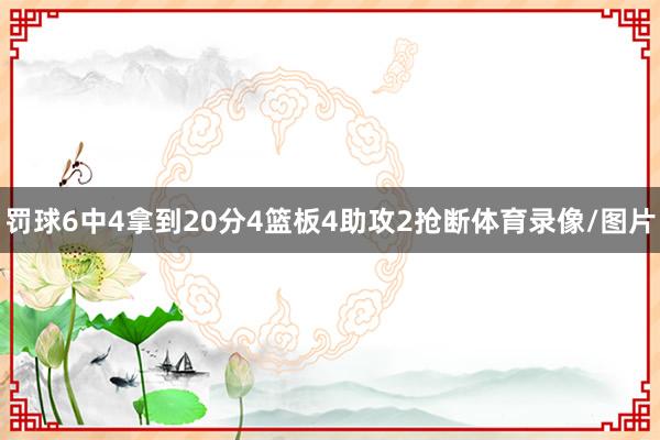 罚球6中4拿到20分4篮板4助攻2抢断体育录像/图片