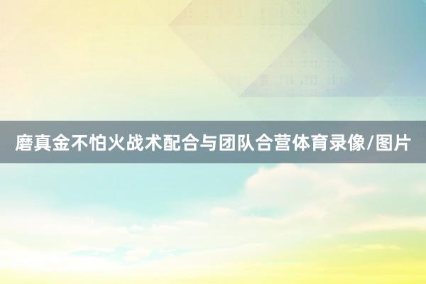 磨真金不怕火战术配合与团队合营体育录像/图片