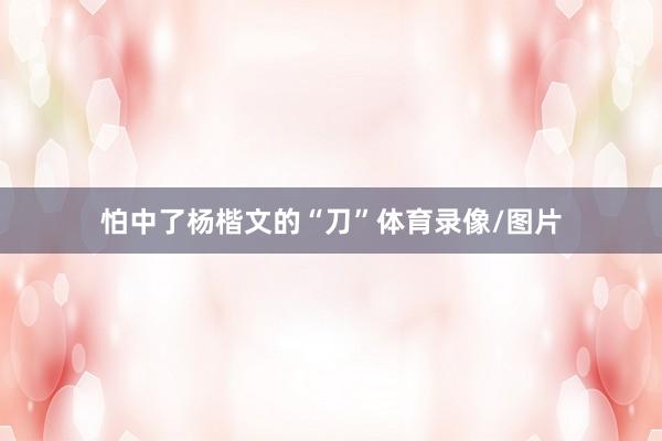 怕中了杨楷文的“刀”体育录像/图片