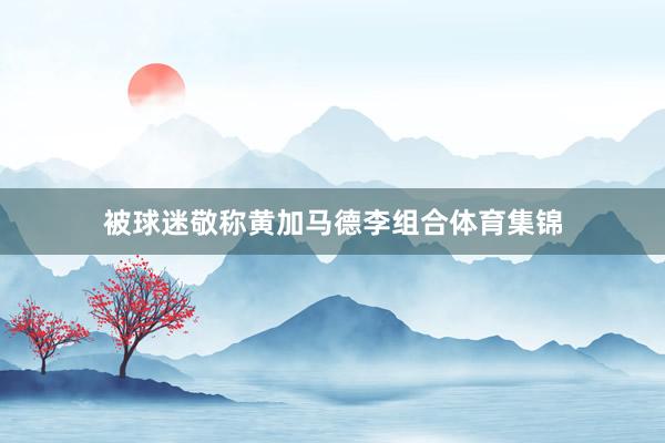 被球迷敬称黄加马德李组合体育集锦