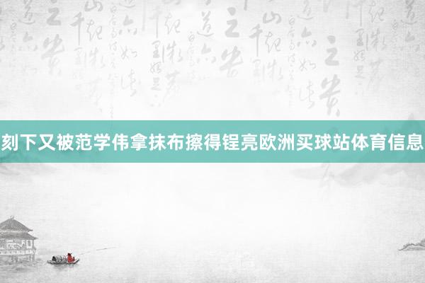刻下又被范学伟拿抹布擦得锃亮欧洲买球站体育信息