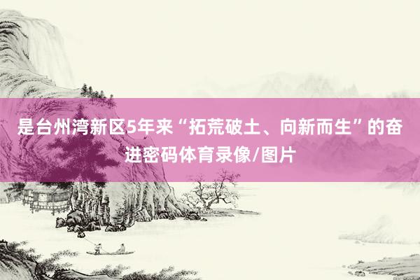 是台州湾新区5年来“拓荒破土、向新而生”的奋进密码体育录像/图片