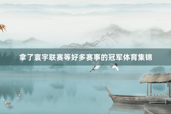 拿了寰宇联赛等好多赛事的冠军体育集锦