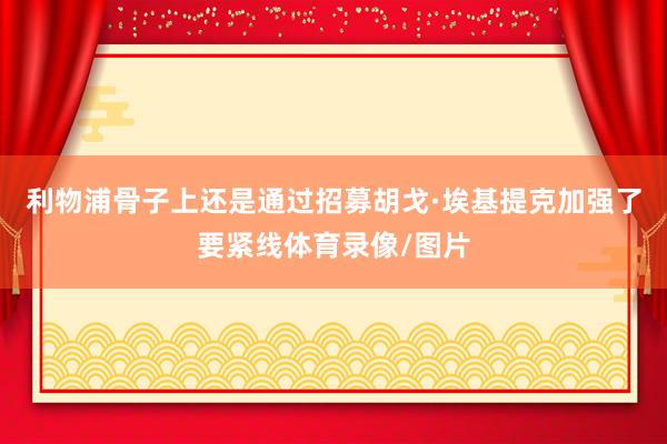 利物浦骨子上还是通过招募胡戈·埃基提克加强了要紧线体育录像/图片
