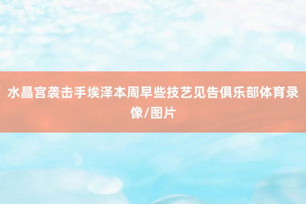 水晶宫袭击手埃泽本周早些技艺见告俱乐部体育录像/图片
