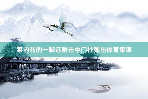 莱内兹的一脚远射击中门柱弹出体育集锦