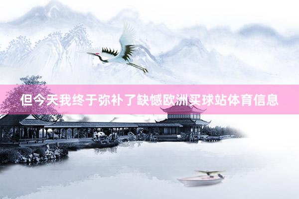 但今天我终于弥补了缺憾欧洲买球站体育信息