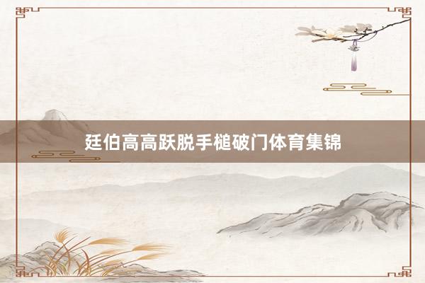 廷伯高高跃脱手槌破门体育集锦