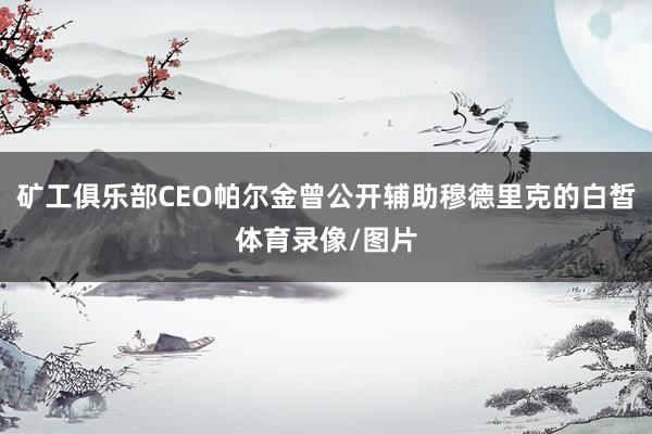 矿工俱乐部CEO帕尔金曾公开辅助穆德里克的白皙体育录像/图片