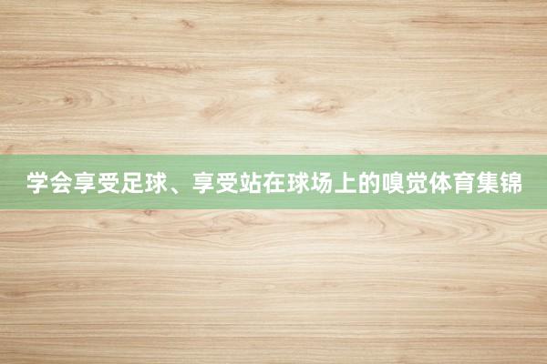 学会享受足球、享受站在球场上的嗅觉体育集锦